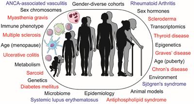 Editorial: Sex bias in autoimmunity: From animal models to clinical research and applications